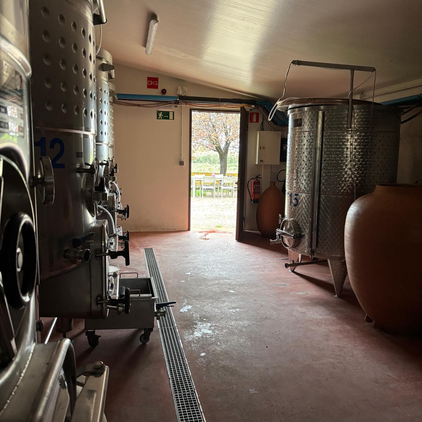 Visita guiada al celler