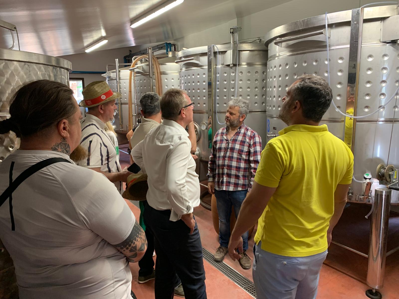 Detall de la vinya i el celler