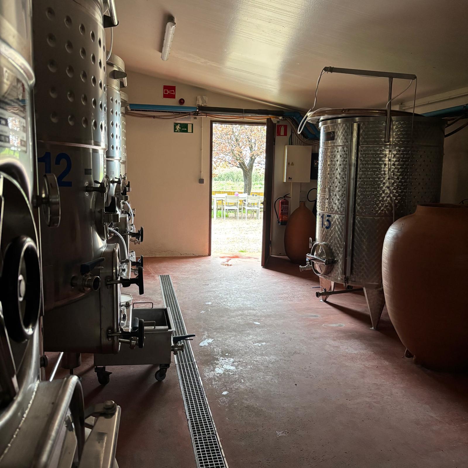 Visita guiada al celler