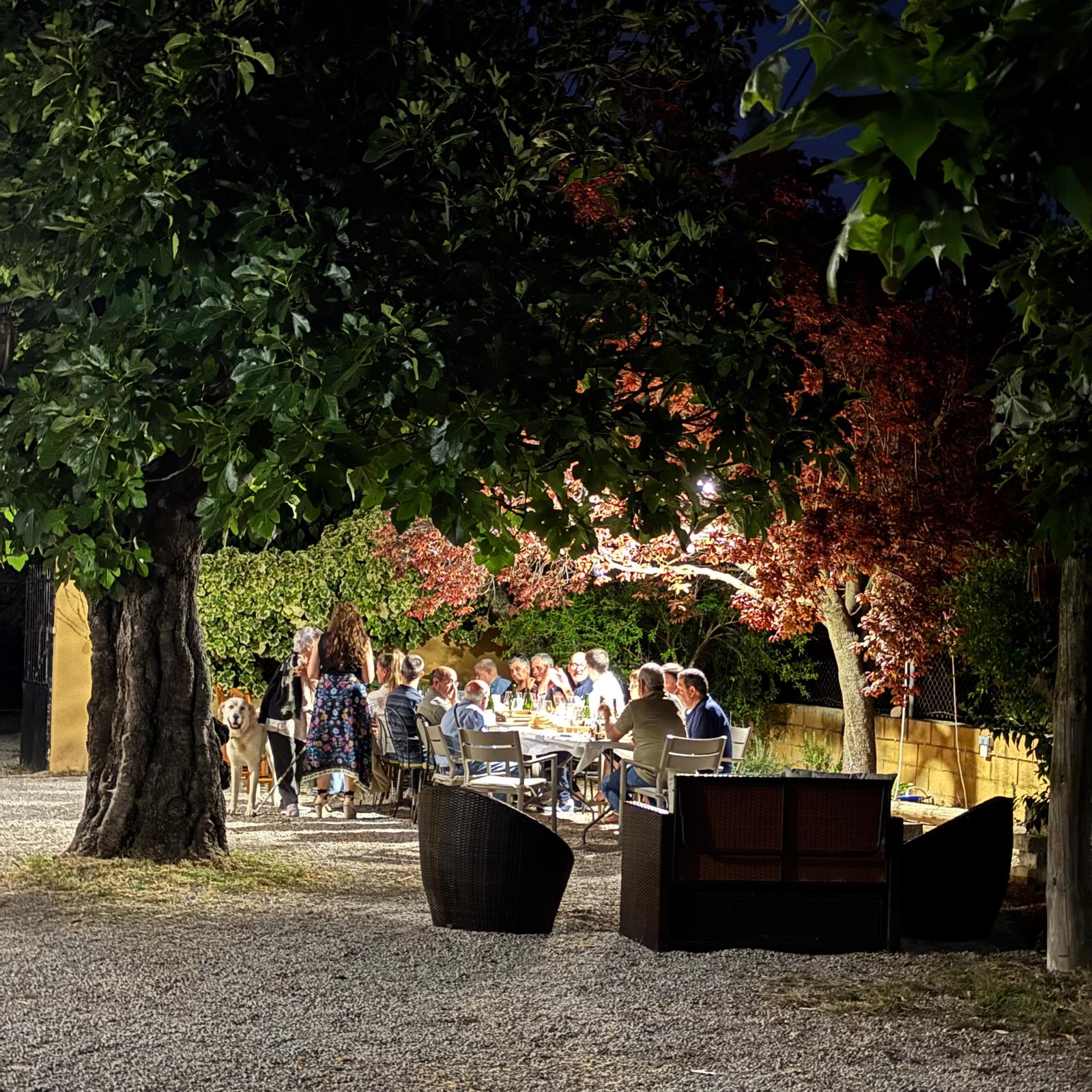 Experiència de verema manual