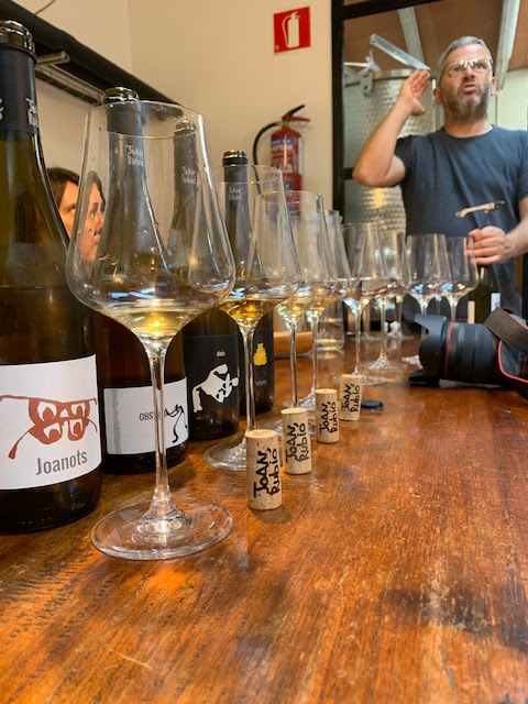 Passejada per les vinyes